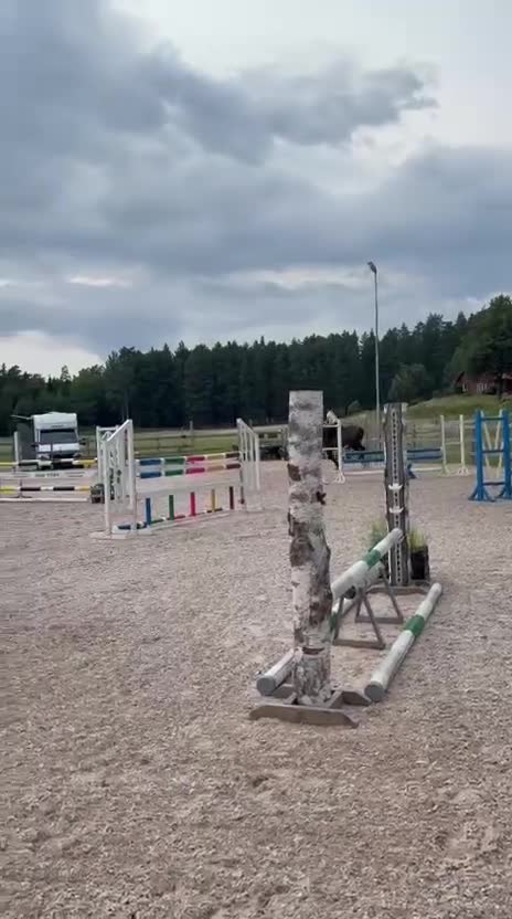 Hoppning hästar till salu: Lovande D-ponny med hjärta och potential 🌟❤️  - Video 4