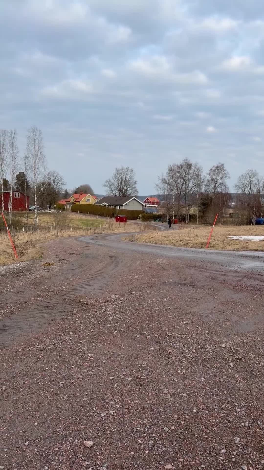 Allround hästar till salu: Snäll Skogsmulle - Video 1