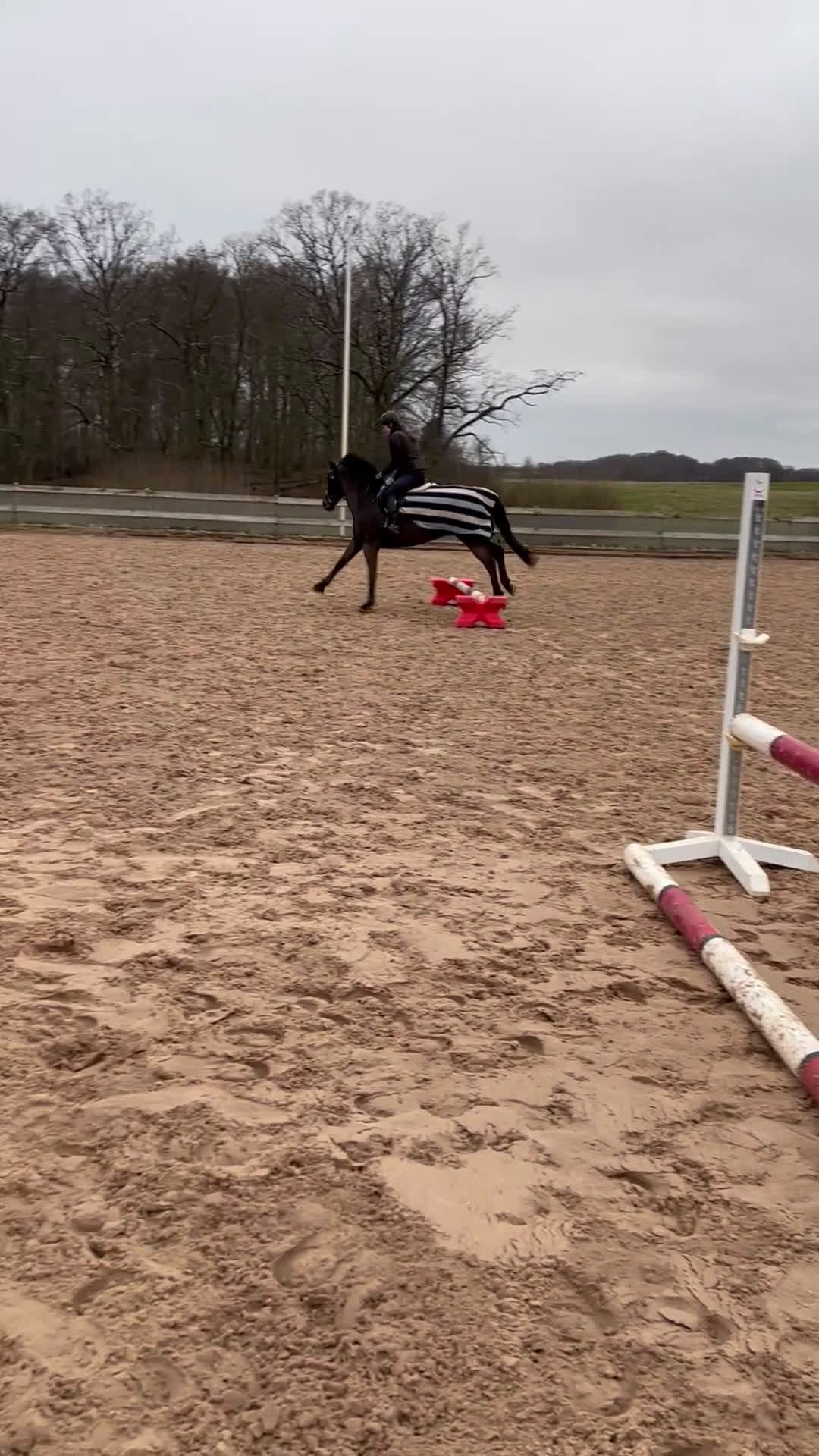 Allround hästar till salu: Hoppglad kille söker ny bästa vän! i Klippan - Video 2