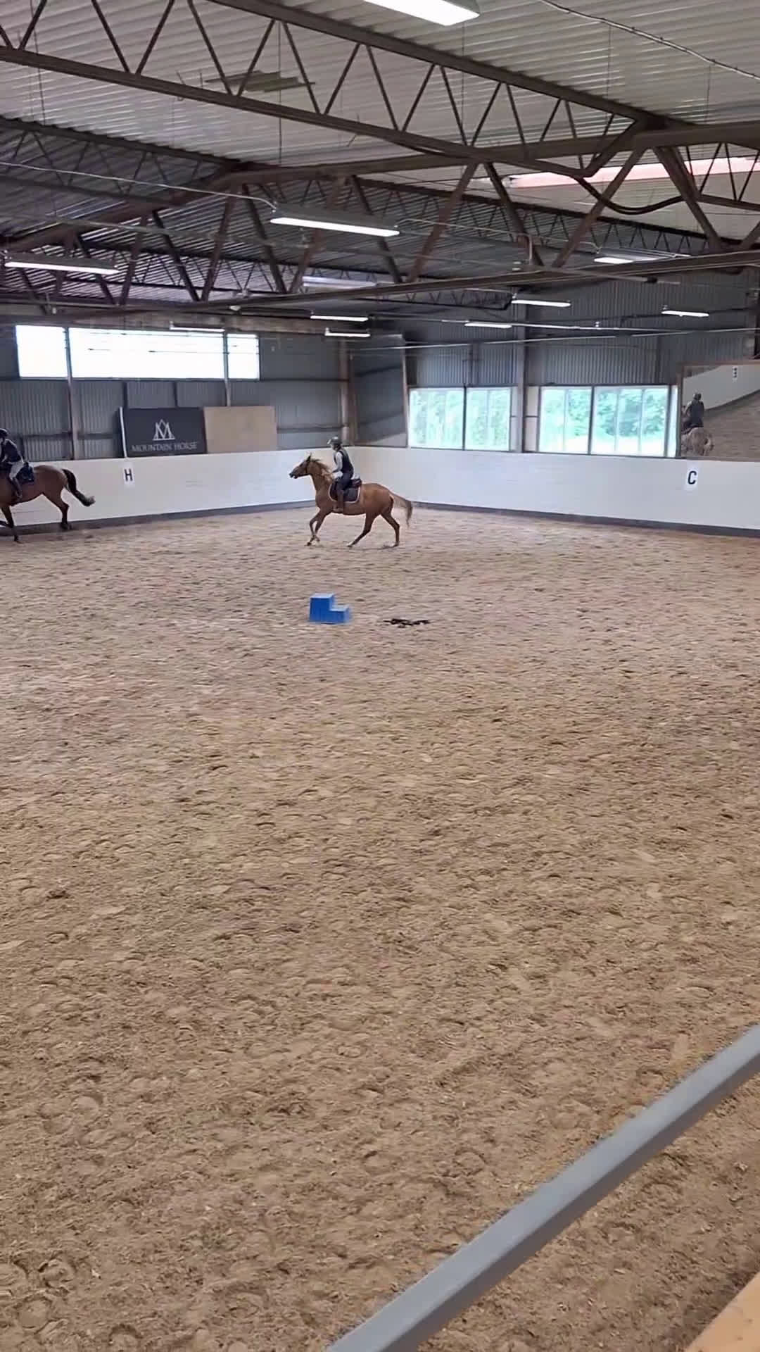 Hoppning hästar till salu: Sportigt sto e. Magic Park. inriden i Halmstad - Video 4