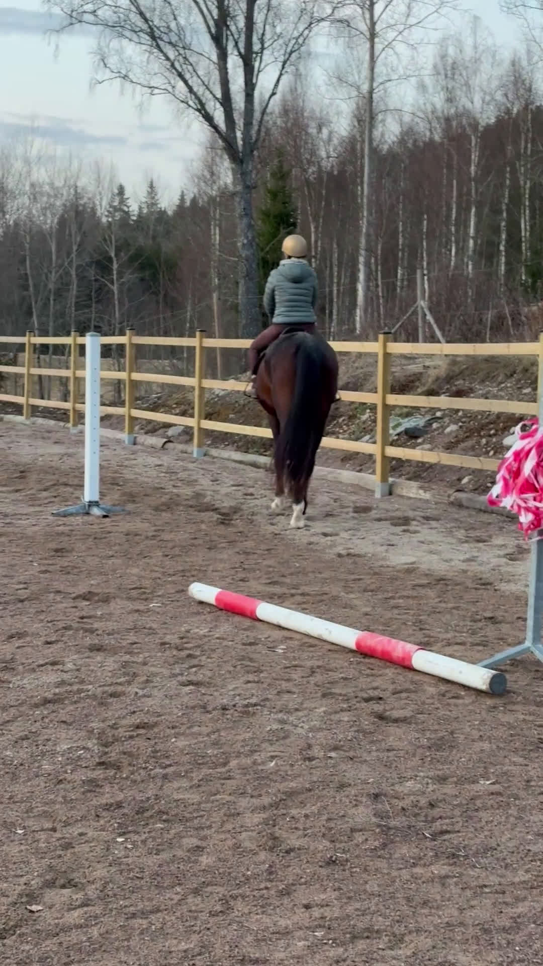 Allround hästar till salu: Uttrycksfullt sto, eventuellt bytes - Video 2