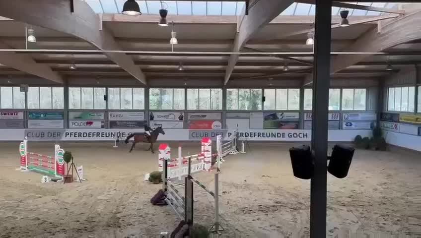 Allround hästar till salu: Fälttävlansämne - Video 2
