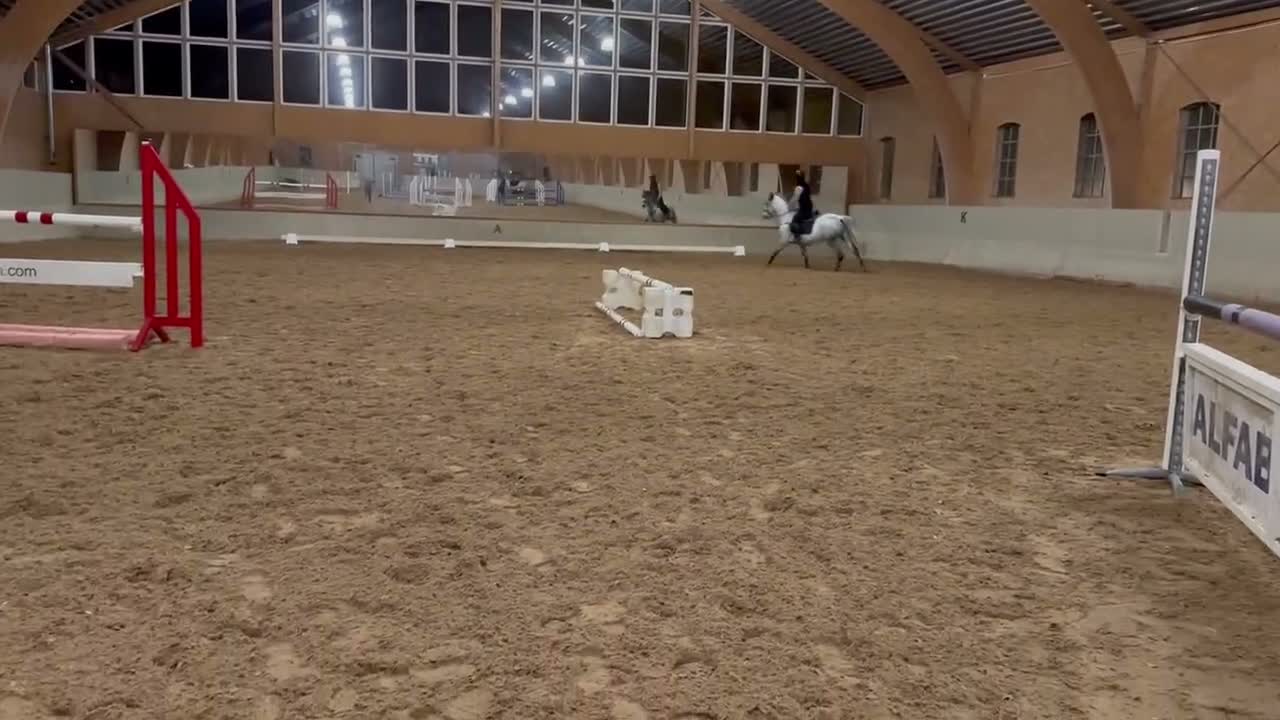Hoppning hästar till salu: Snyggt connemarasto för de högsta klasserna - Video 3