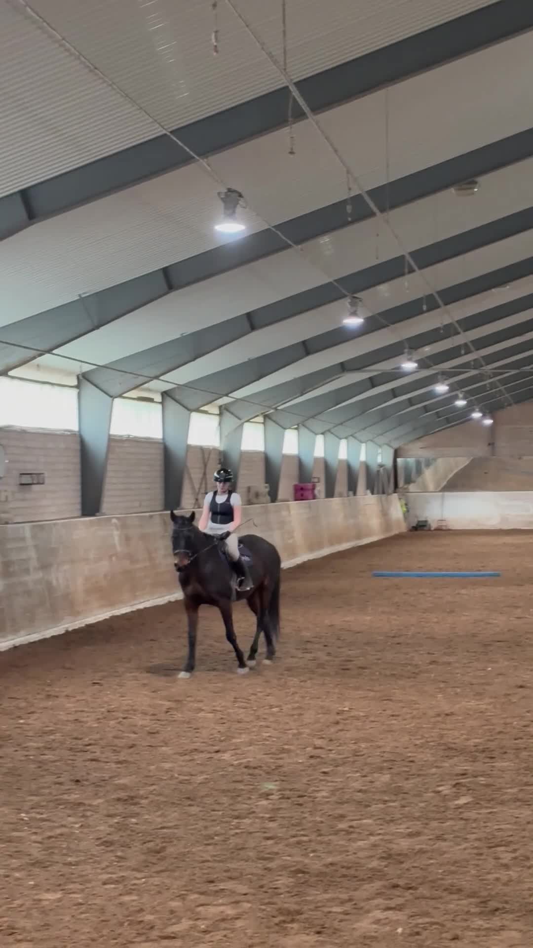  medryttarhäst sökes: Söker medryttar häst eller ponny i Uppsala - Video 1