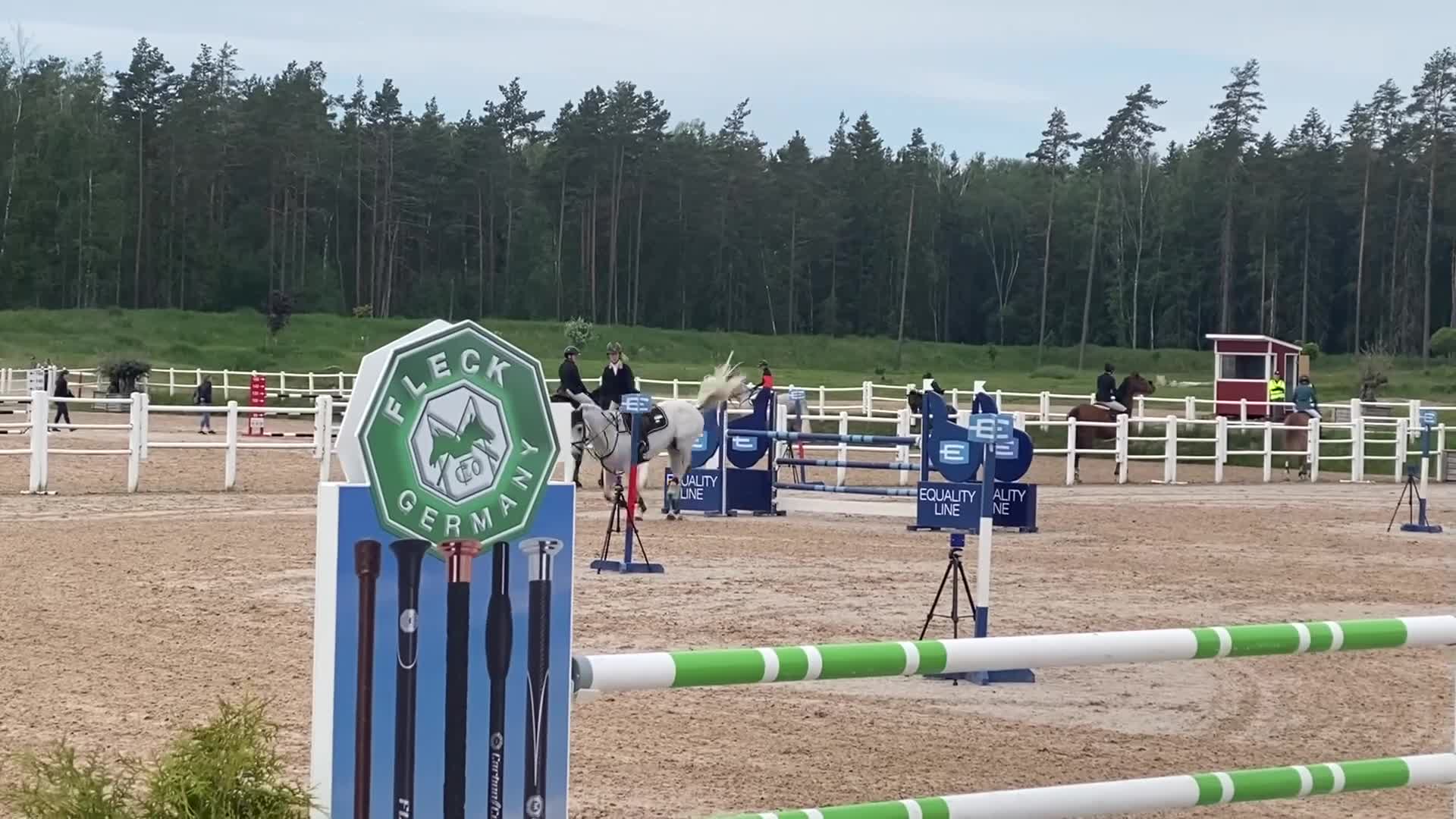 Avelshästar hästar till salu: Dräktigt sto med egna meriter - Video 1