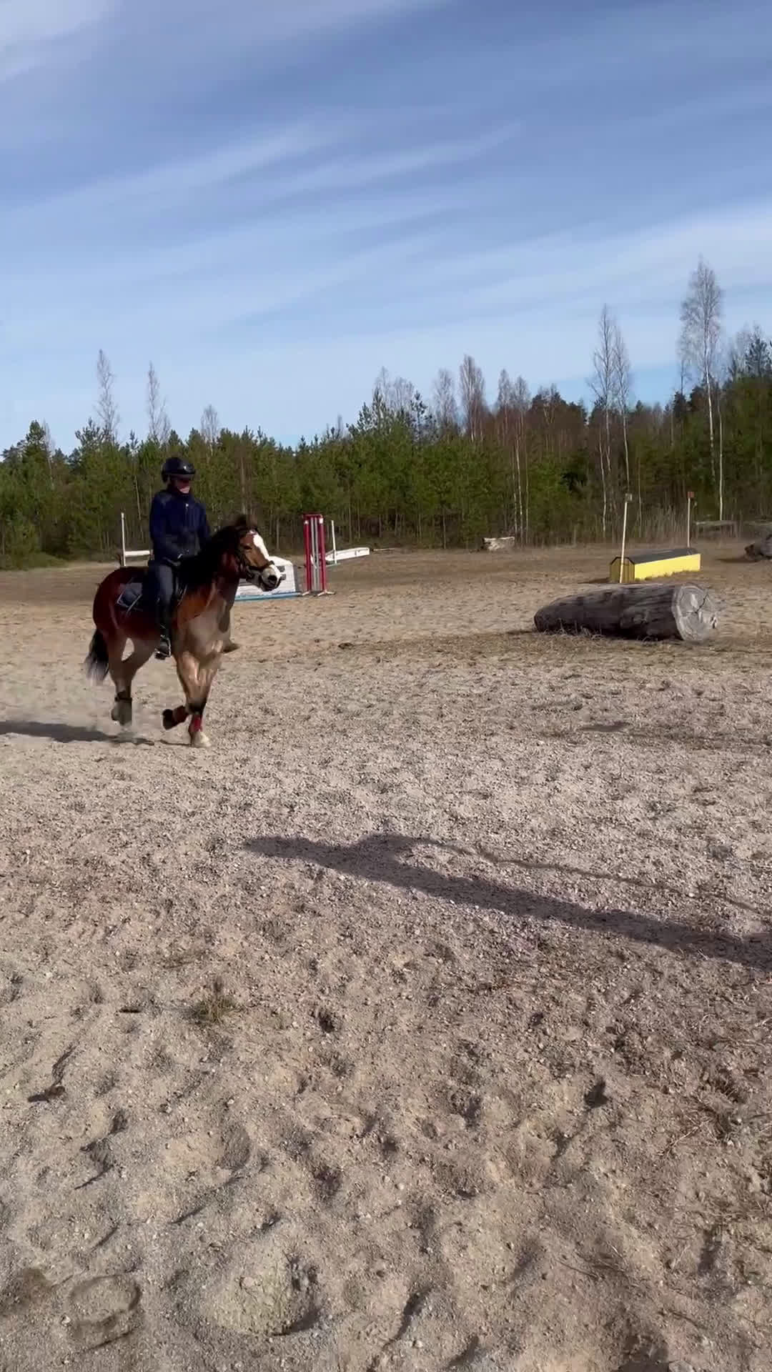 Allround hästar till salu: Trevlig b-ponny för allround i Heby - Video 2