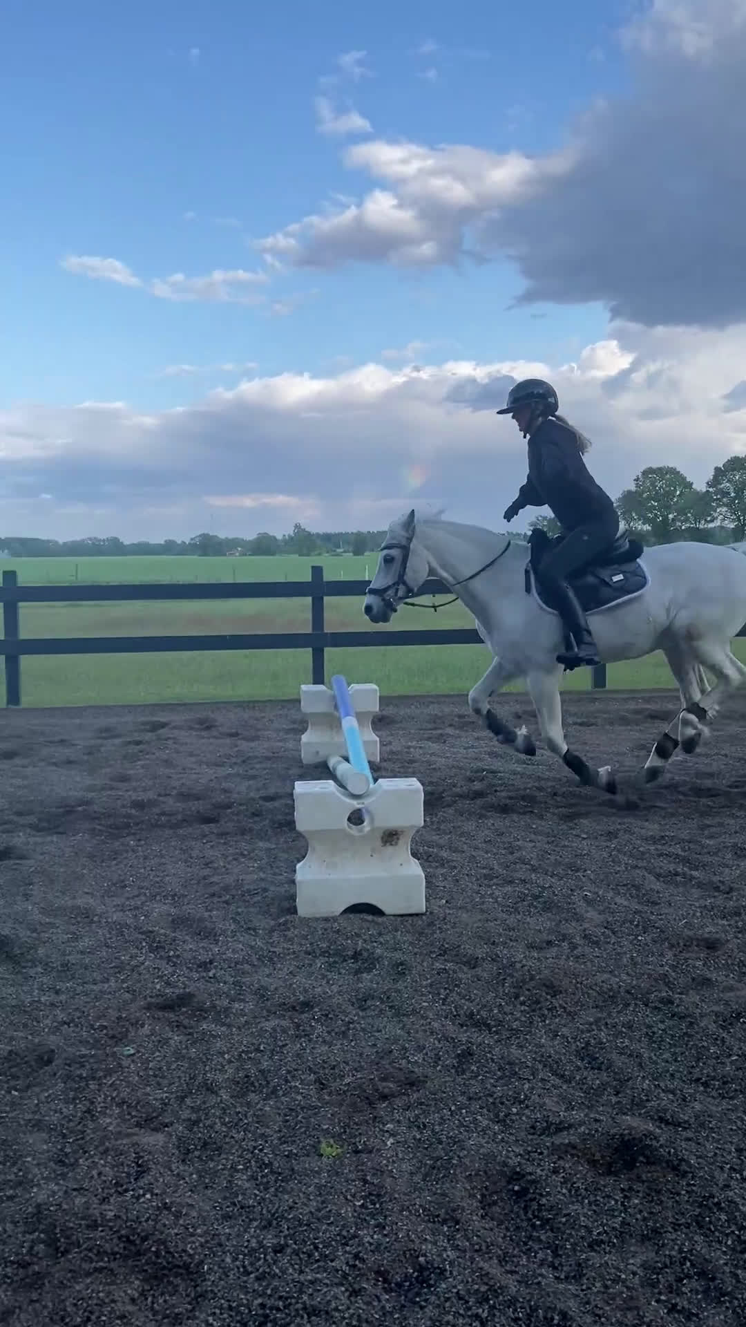 Allround hästar till salu: Läromästare/sällskapshäst i Hagby - Video 1