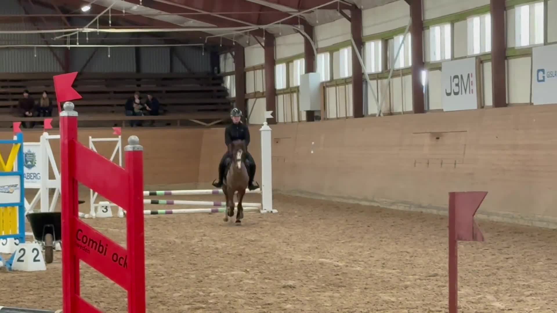 Hoppning hästar till salu: Drömponny för de höga klasserna!💥 - Video 1