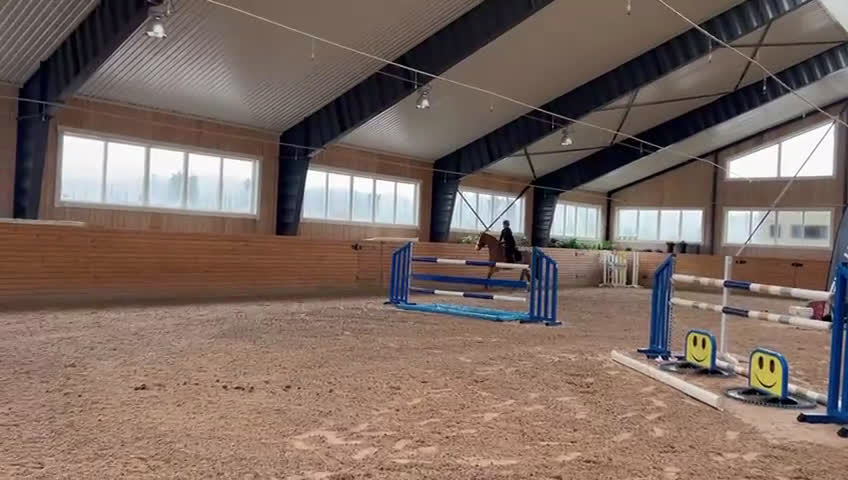 Hoppning hästar till salu: Välriden 7-åring e Mr Vain i Tomelilla - Video 2