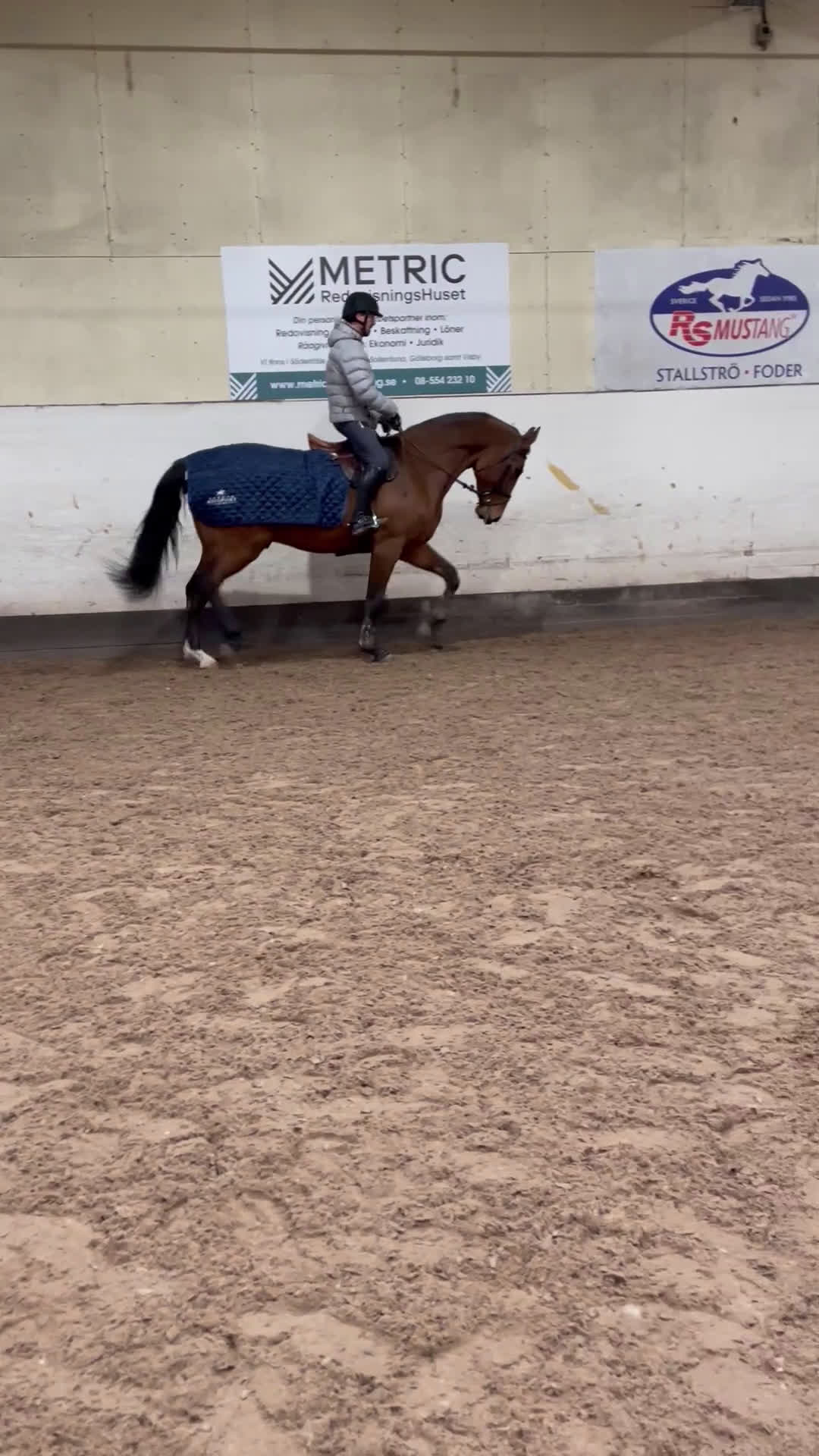 Hoppning hästar till salu: Cool valack med kraftfullt språng i Strängnäs - Video 2