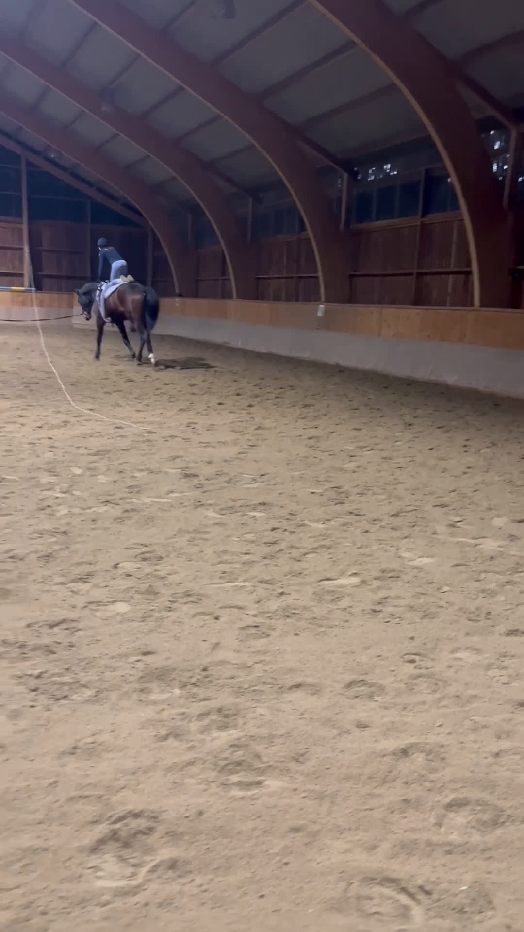 Allround hästar till salu: 6-årig SWB- valack  i Västerfärnebo - Video 3