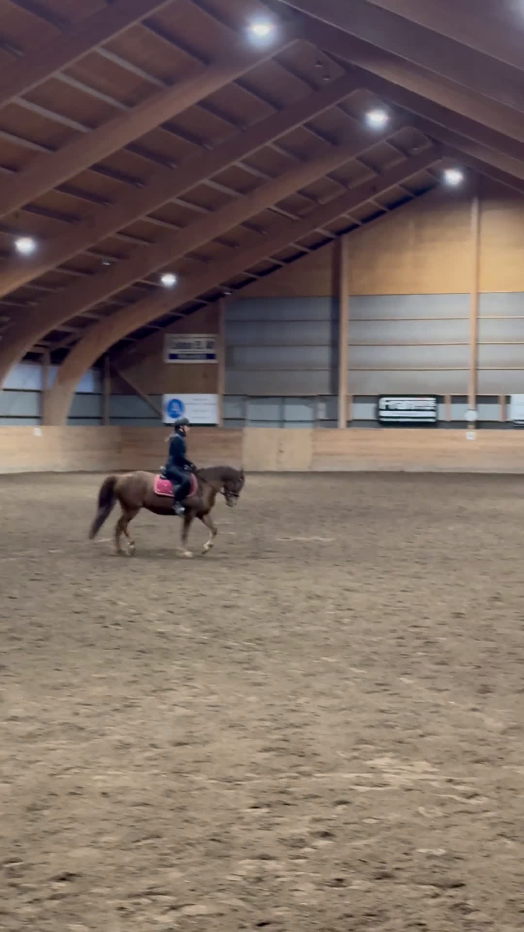 Allround hästar till salu: Ljuvligt fux-sto - en riktig prinsessa! D-ponny i Tidaholm - Video 2