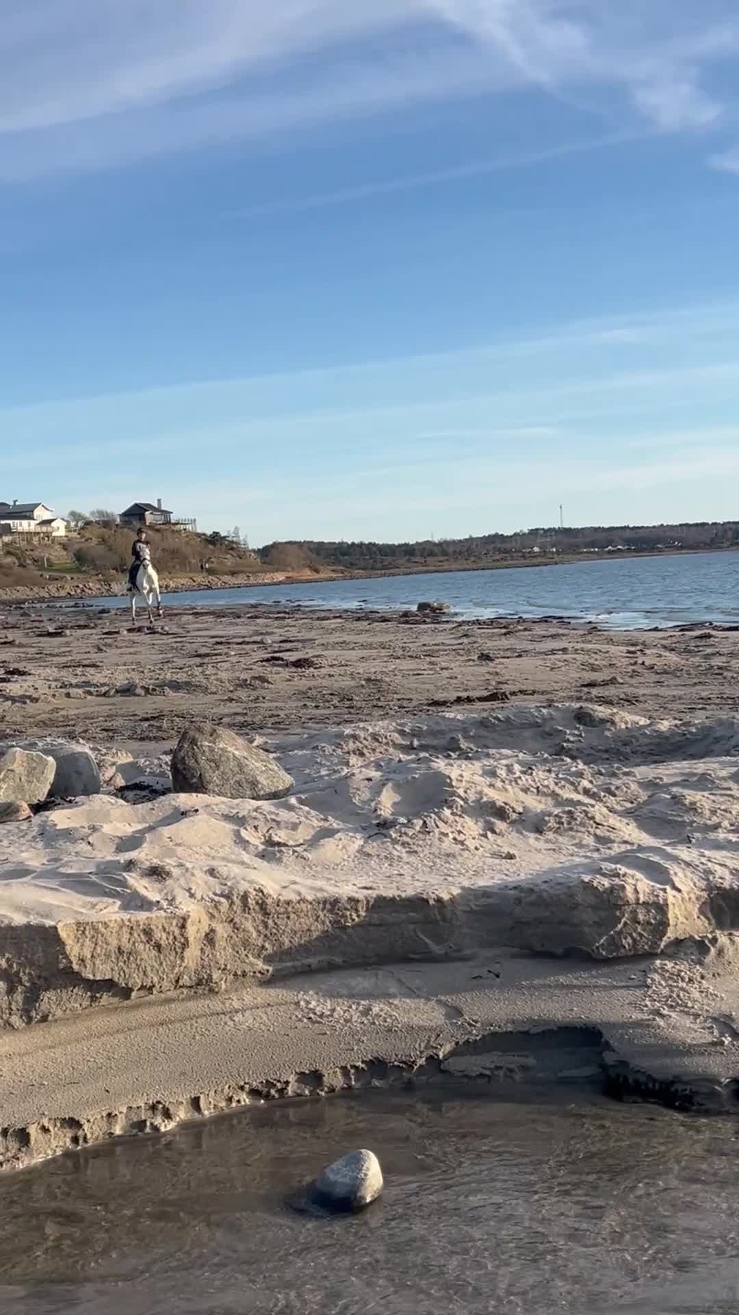 Allround hästar till salu: ⭐️Perfekt förstaponny och bästa vän⭐️🤍 i Torslanda - Video 3