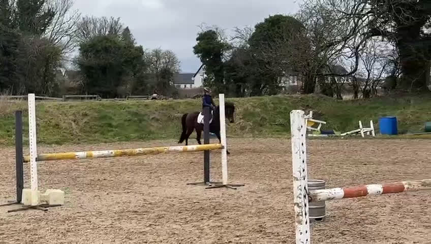 Fälttävlan hästar till salu: Lovande unghäst för fälttävlan/allround - Video 1