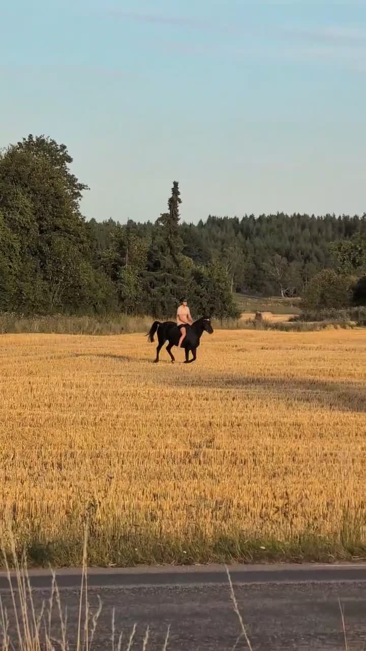 Allround hästar till salu: Superhärlig sportponny - Video 2