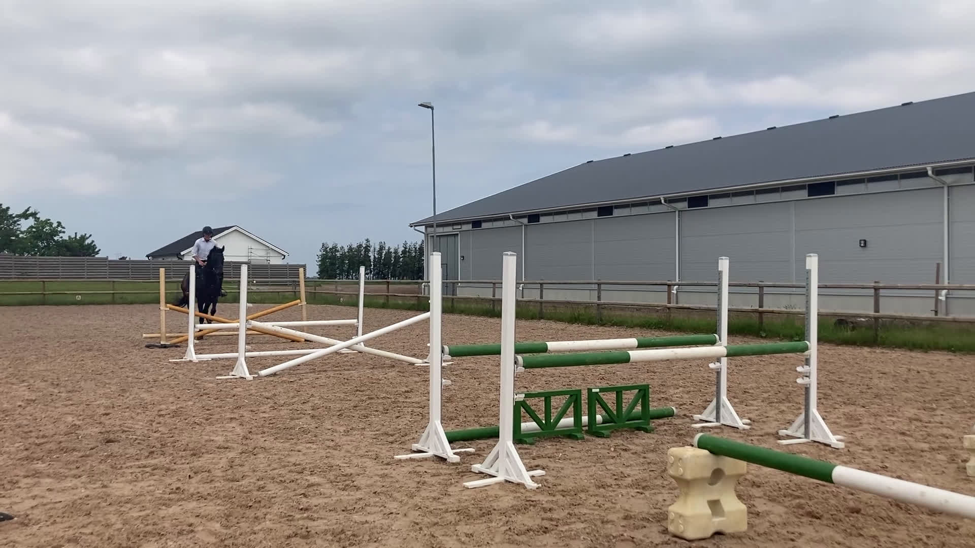 Hoppning hästar till salu: Fantastisk läromästare och bästa vän i Höör - Video 1