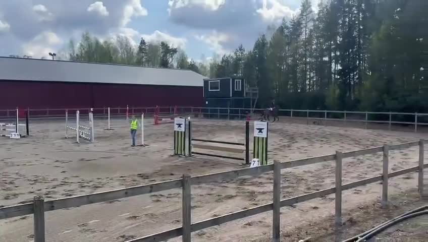 Hoppning hästar till salu: Ambitiöst sto! - Video 1