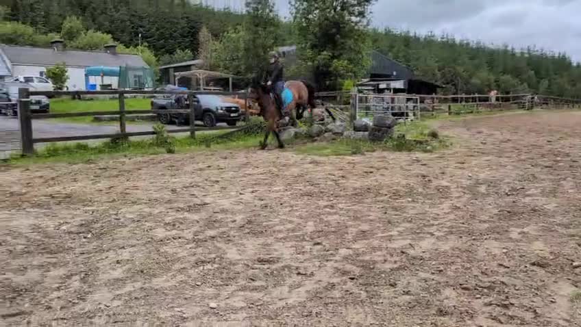 Allround hästar till salu: Rolig allround ponny  i Ödsmål - Video 3