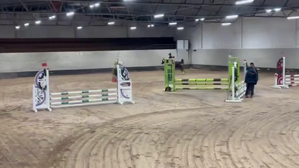 Hoppning hästar till salu: Vackert b-ponnysto i Sala - Video 5