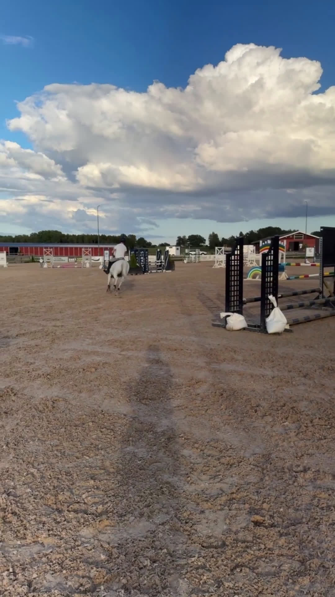 Dressyr hästar till salu: Sago ponny fei-dressyr i Norrköping - Video 2