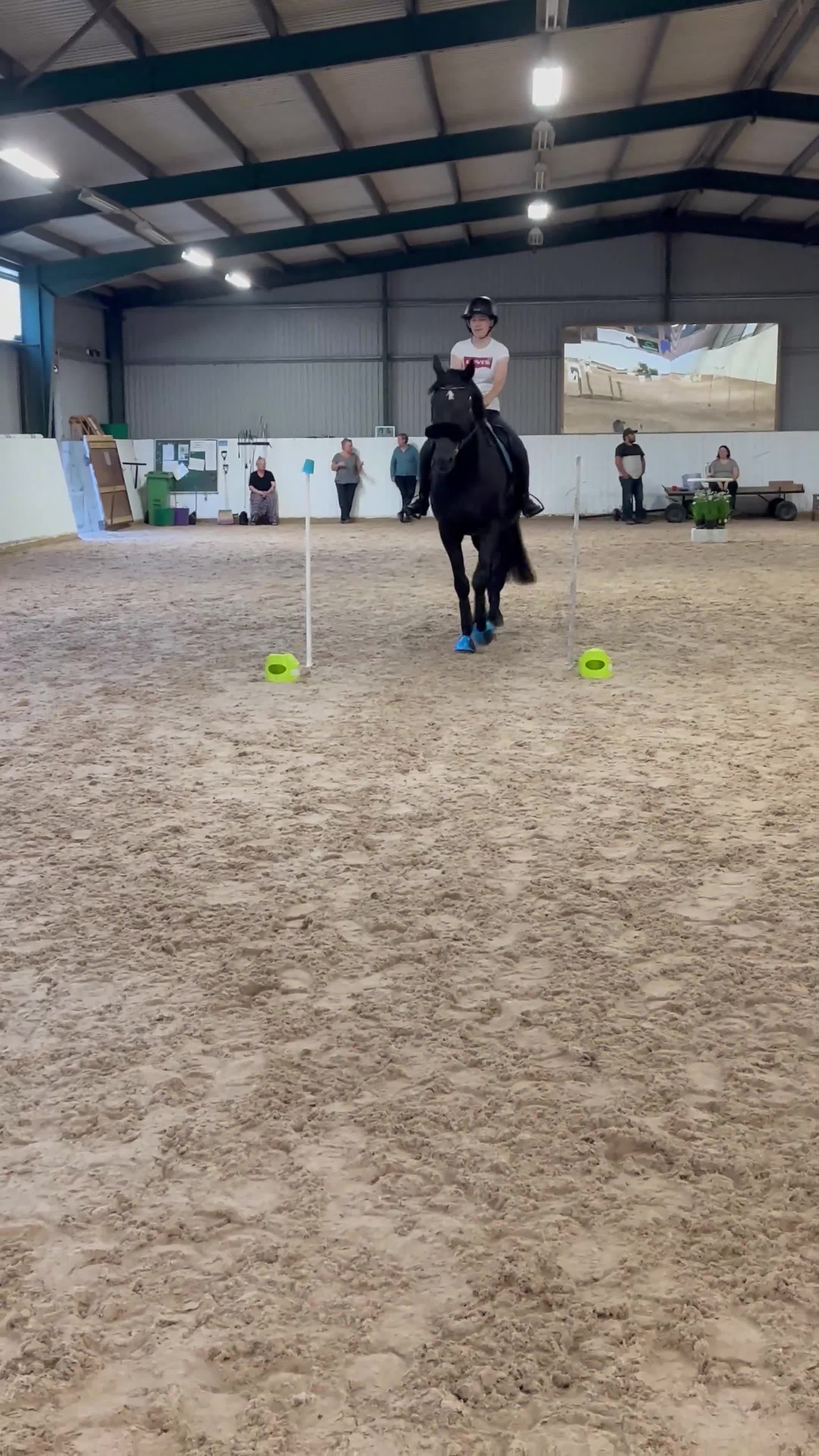 Allround hästar till salu: Stilig gentleman RESERVERAD - Video 4