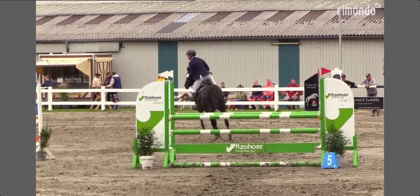 Hoppning hästar till salu: Fantastisk förmåga för ett riktigt bra pris i Nordhackstedt - Video 2