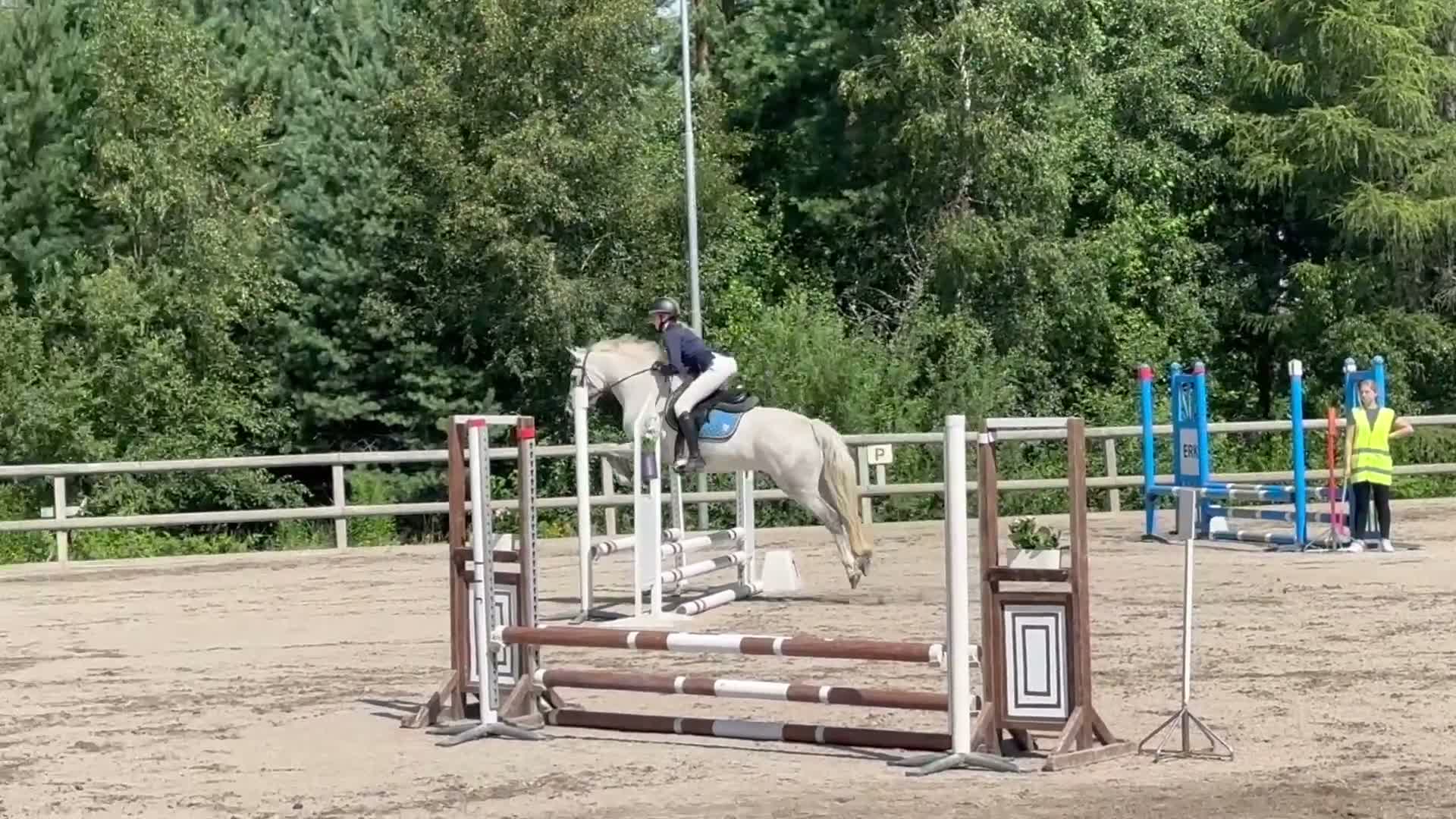 Allround hästar till salu: Drömponnyn  - Video 4