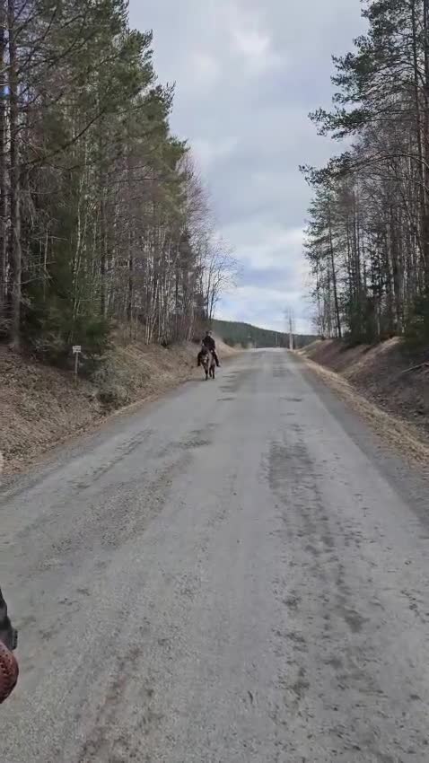 Övrigt hästar till salu: Ponny med personlighet  - Video 1