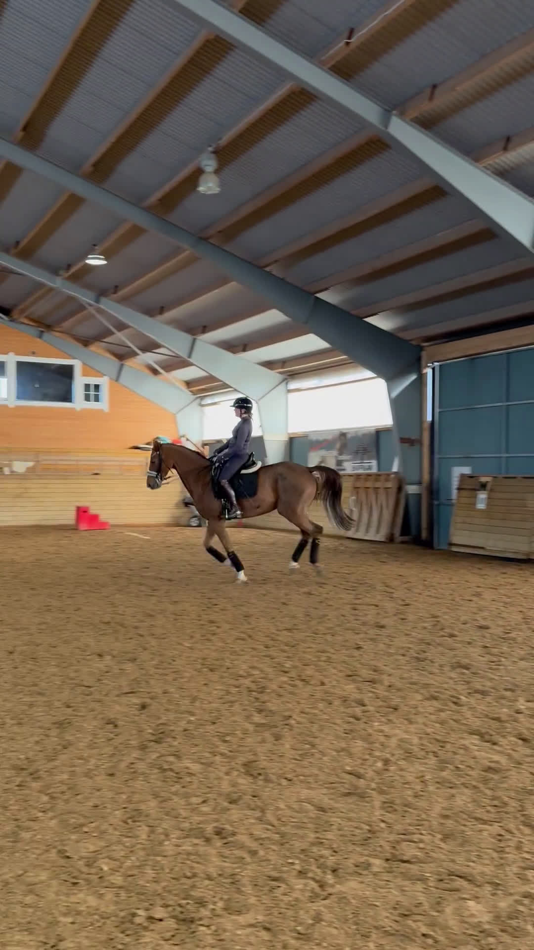 Dressyr hästar till salu: Underbart sto i Rimforsa - Video 2