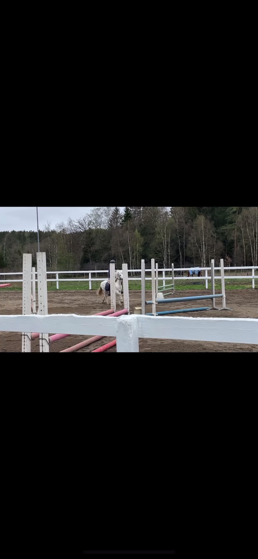 Allround hästar sökes: Söker medryttarhäst⭐️ i Öjersjö - Video 3