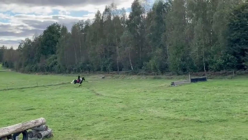 Hoppning hästar till salu: Stjärna till salu ⭐  i Kungsbacka - Video 2