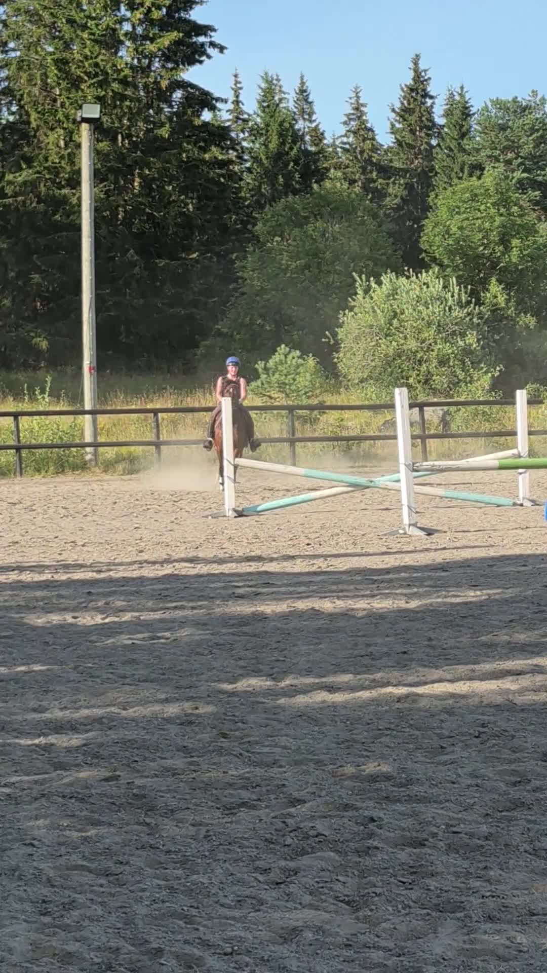 Hoppning hästar till salu: Guldponny - Video 2