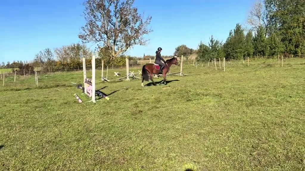 Hoppning hästar till salu: 🌟 Vackert D-ponny sto med utstrålning 🌟 - Video 3