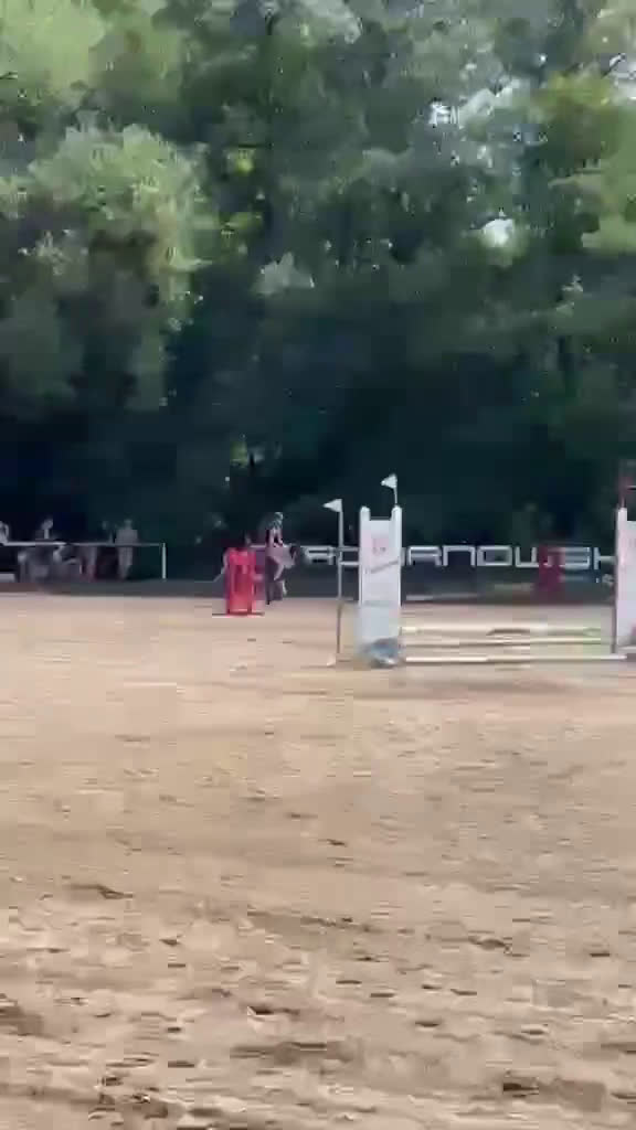 Hoppning hästar till salu: Beautifull jumping pony! i Ystad - Video 1