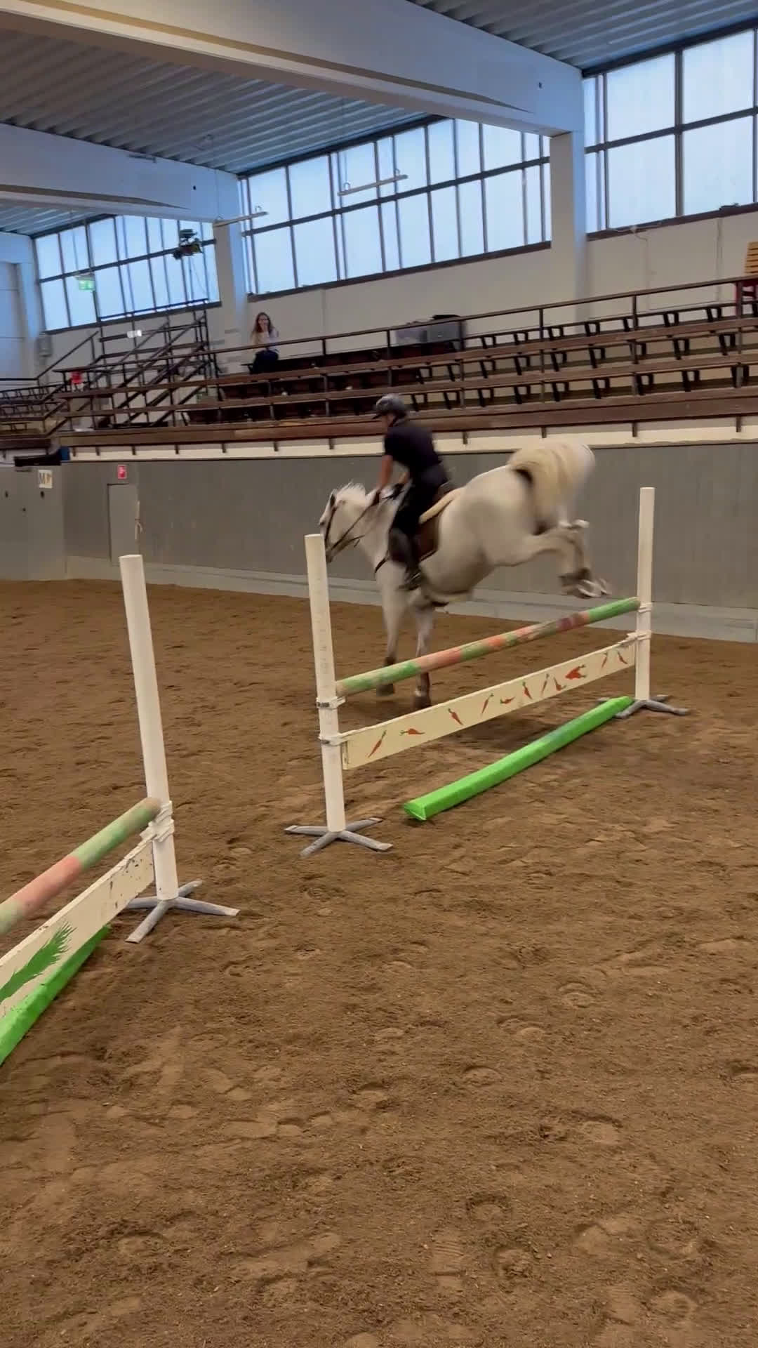 Hoppning hästar till salu: Bombsäker höjdhoppare! i Kalmar - Video 2