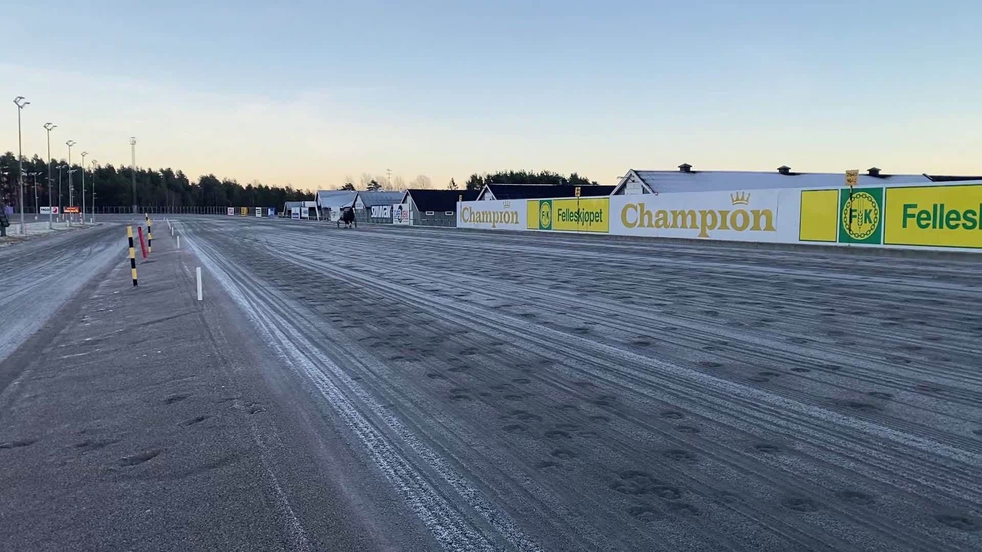 Trav hästar till salu: Hauan Grasiøs - Video 1