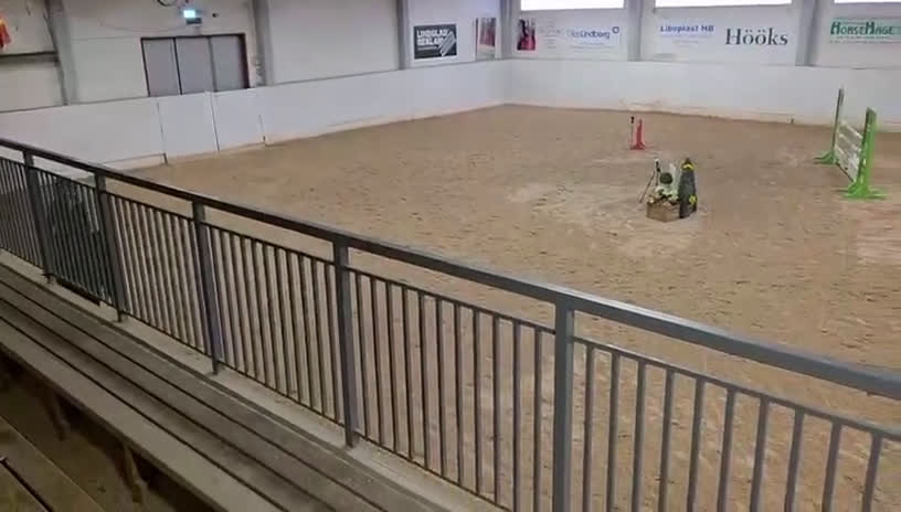 Hoppning hästar till salu: Fint SWB sto med mycket hopp i sig - Video 2