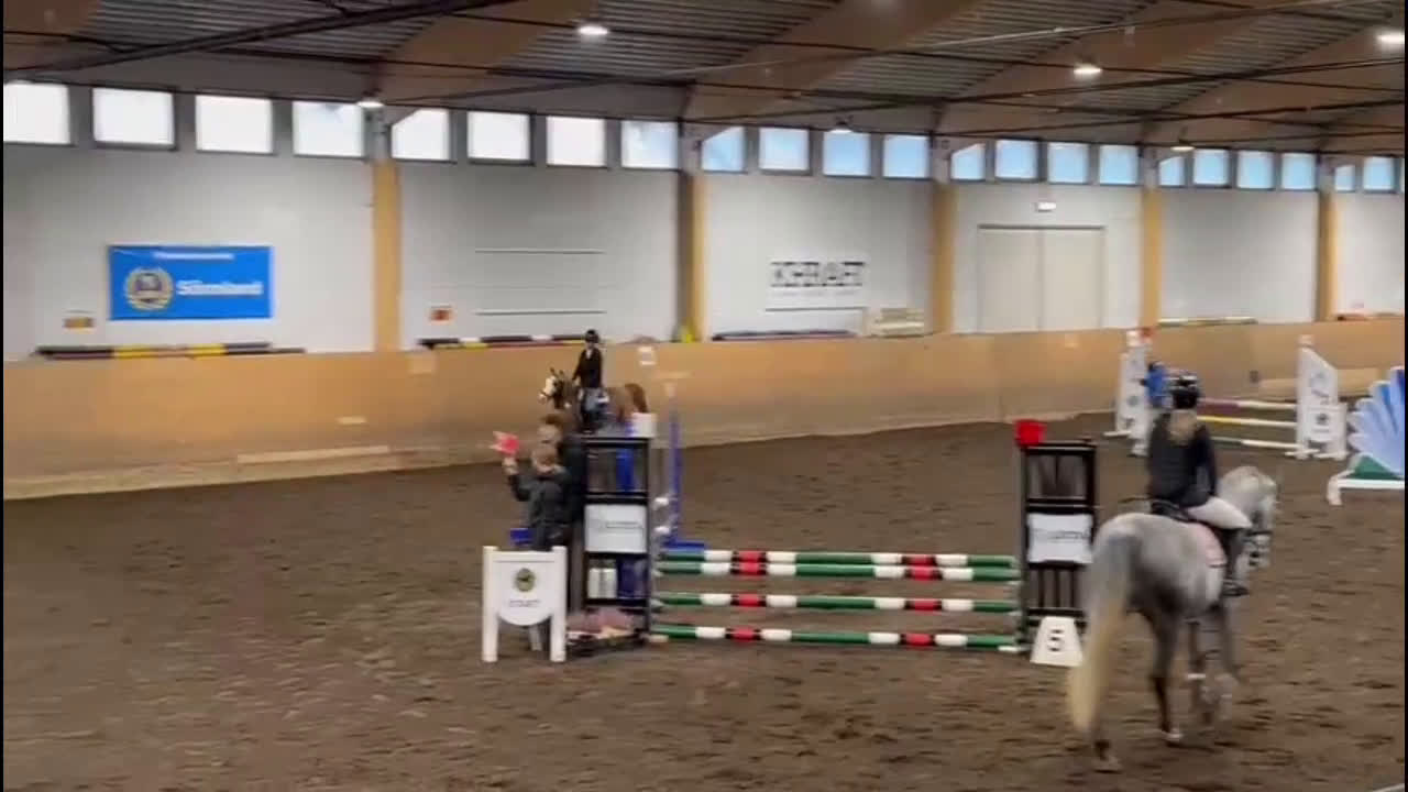 Allround hästar till salu: Maxad B ponny för framtiden🌟 i Flen - Video 5