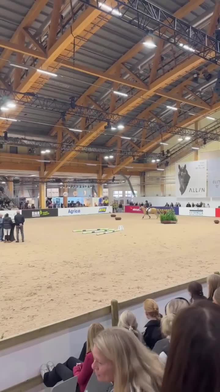 Hoppning hästar till salu: Blixten pigg och hoppglad ponny  🐴❤️ - Video 3