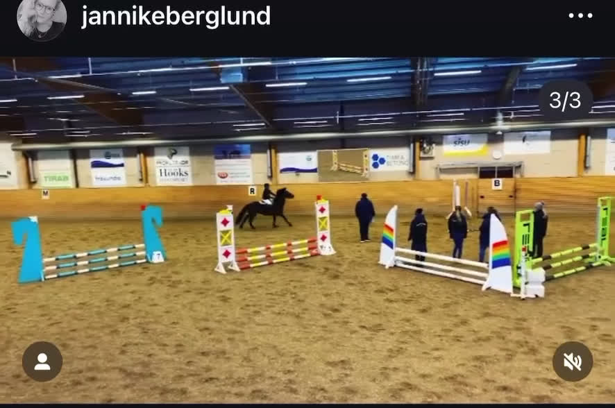 Allround hästar till salu: Fantastisk trygg bästa vän.  i Sundsbruk - Video 3