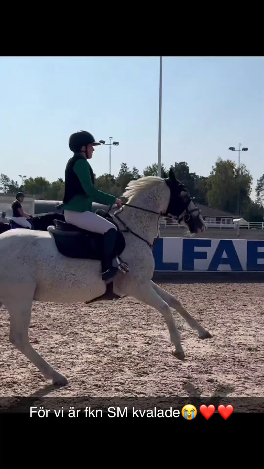 Hoppning hästar till salu: Häftig Rosettplockare childrenhäst i Eskilstuna - Video 2