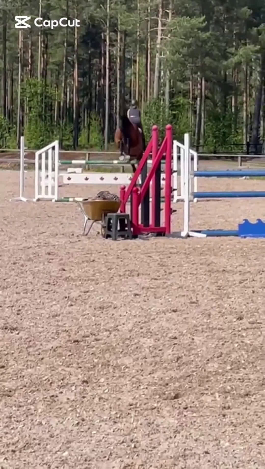 Hoppning hästar till salu: Kenneth 🌟 - Video 2