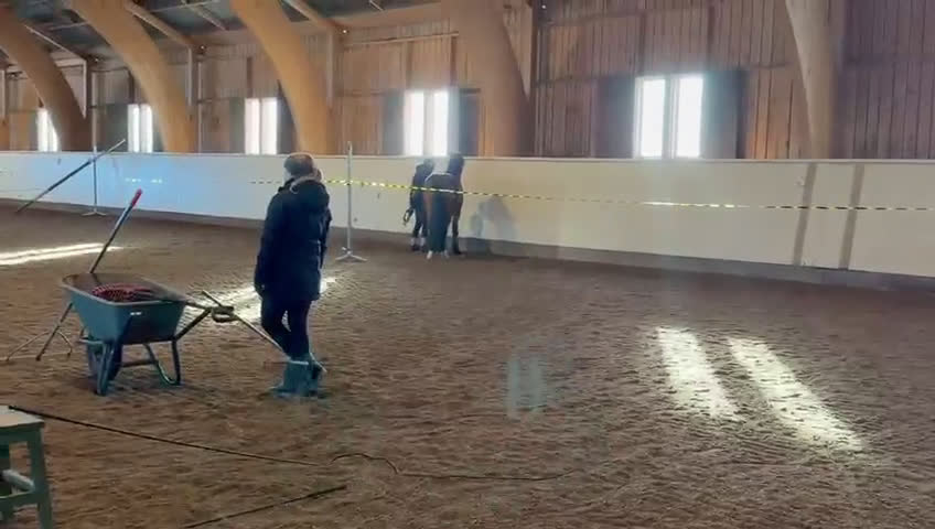 Allround hästar till salu: Oslipad diamant med fantastiskt temperament i Falköping - Video 2