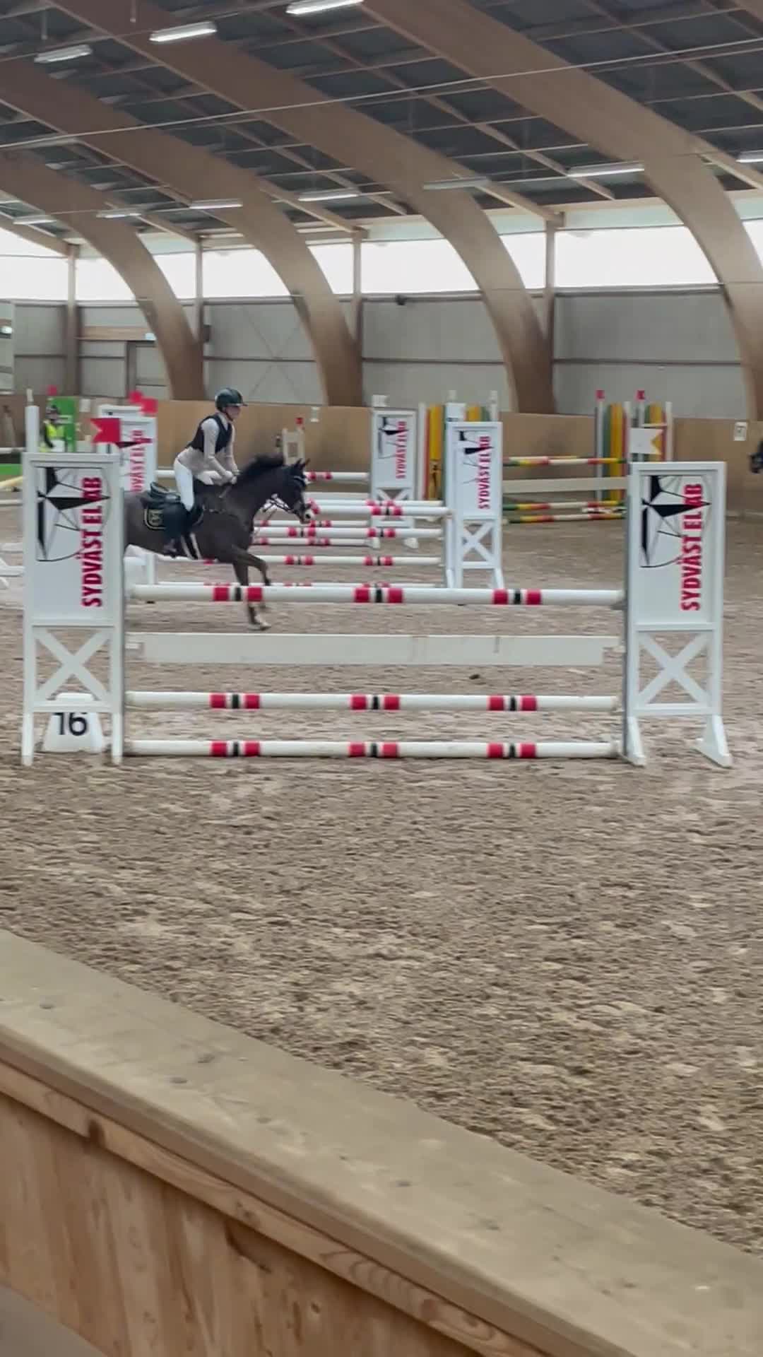 Hoppning hästar till salu: 🩷Queen🩷 - Maxad c ponny - Video 3