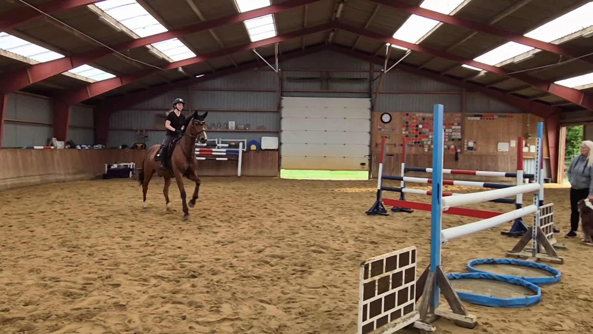 Hoppning hästar till salu: Kvalitetshest - Video 4