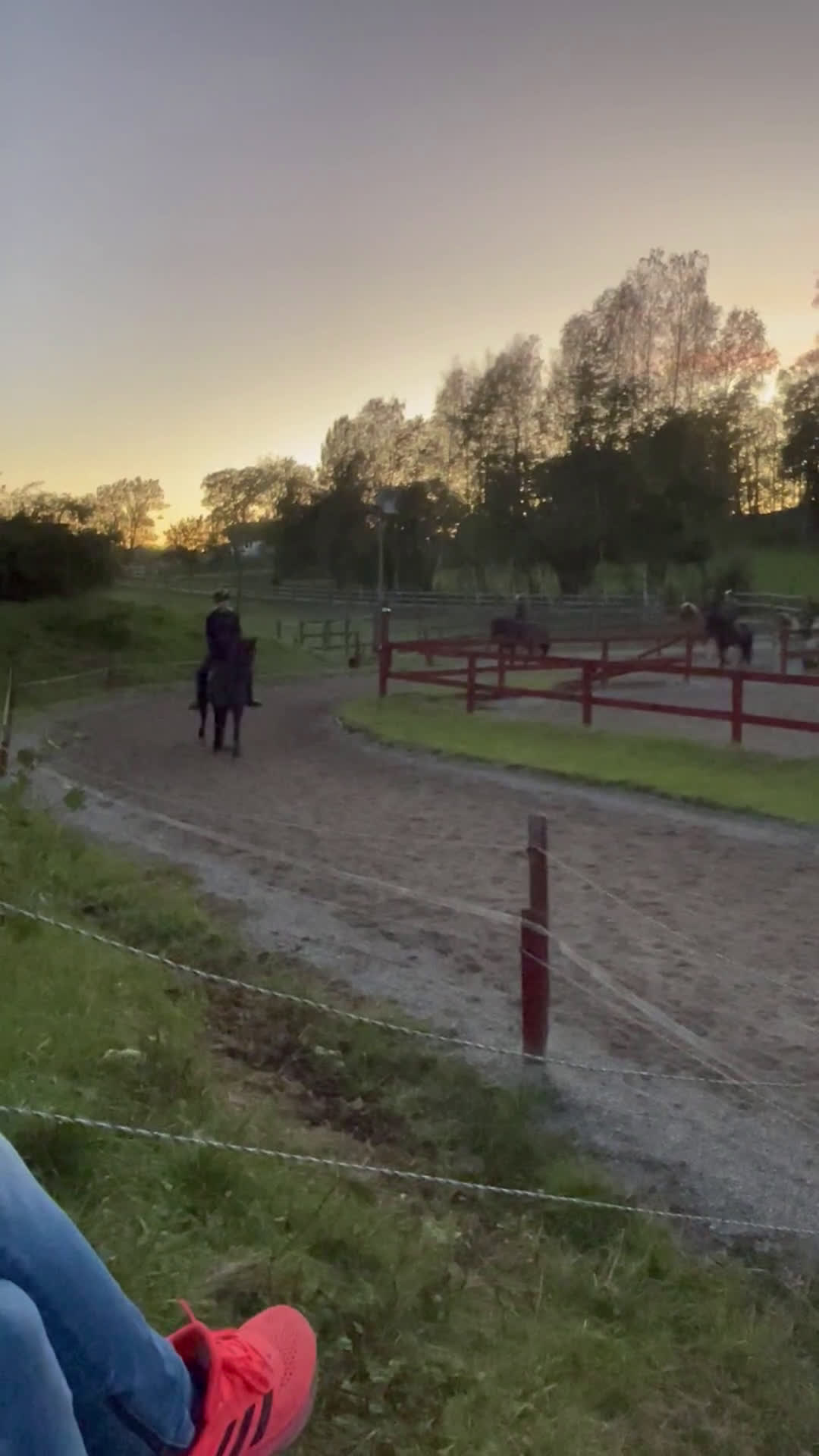  medryttarhäst sökes: Söker medryttarhäst (islandshäst) - Video 1