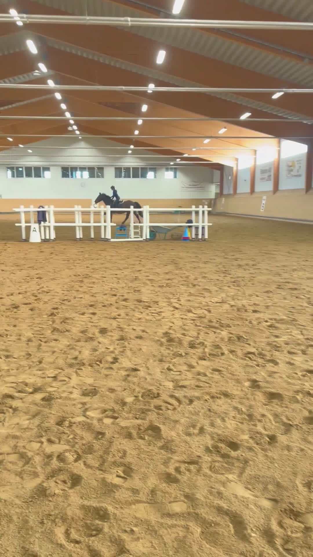 Allround hästar till salu: Världens finaste kille - Video 3