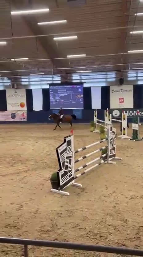 Hoppning hästar till salu: Tävlingskompis - Video 3