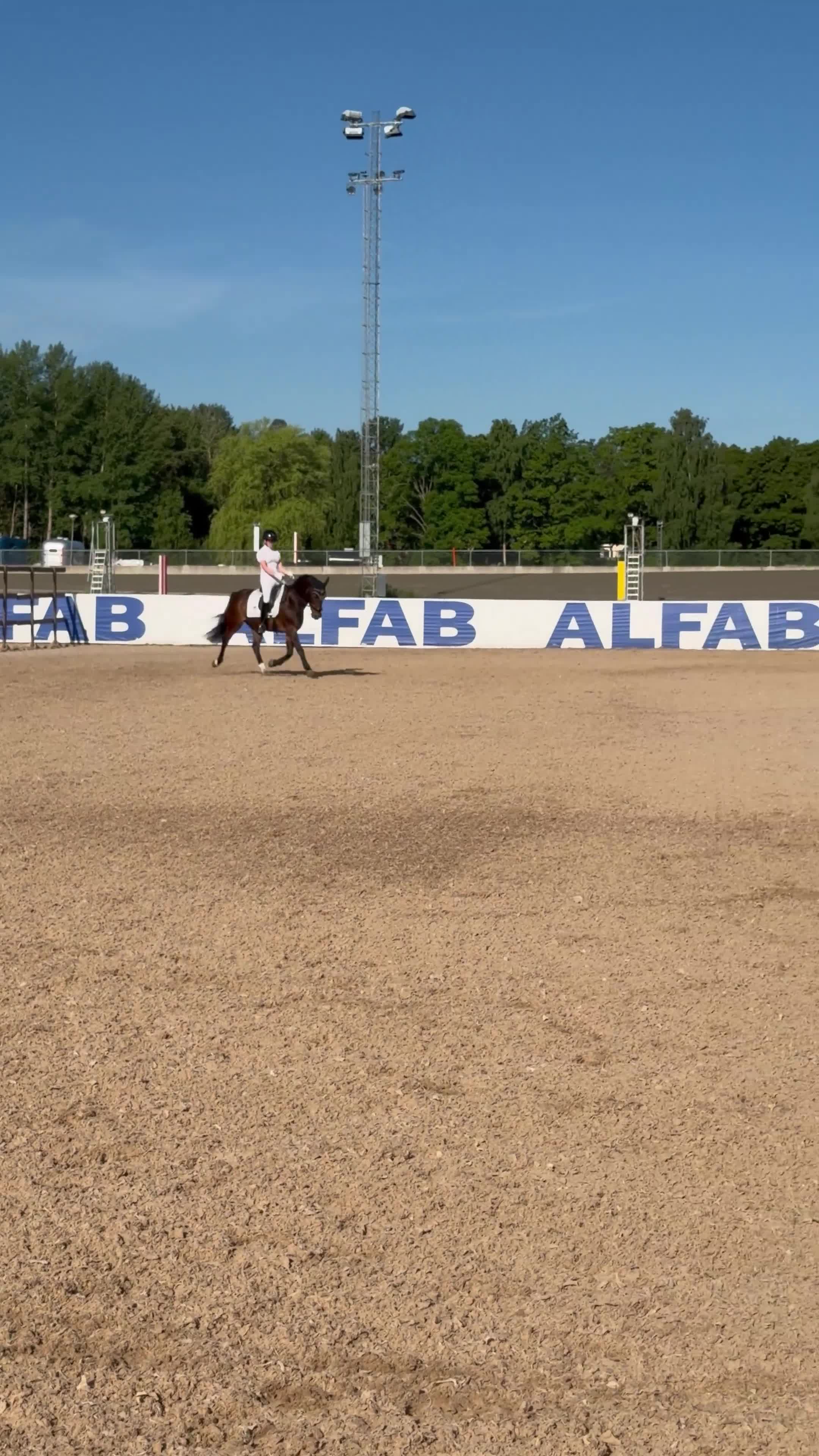 Dressyr hästar till salu: Superfin maxad C-Ponny - Video 2