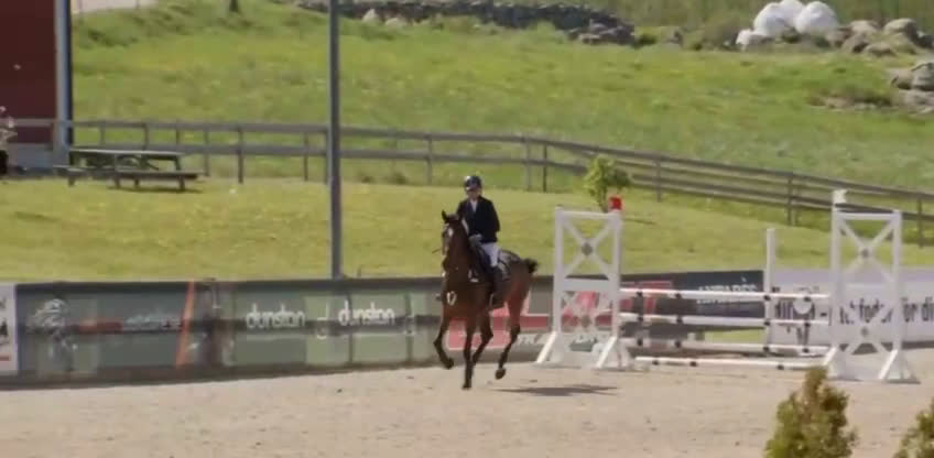 Hoppning hästar till salu: 2019 sto e. Million Dollar/For pleasure/Carthago i Norrköping - Video 4